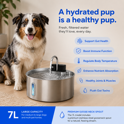 PurePup™ Water Bowl
